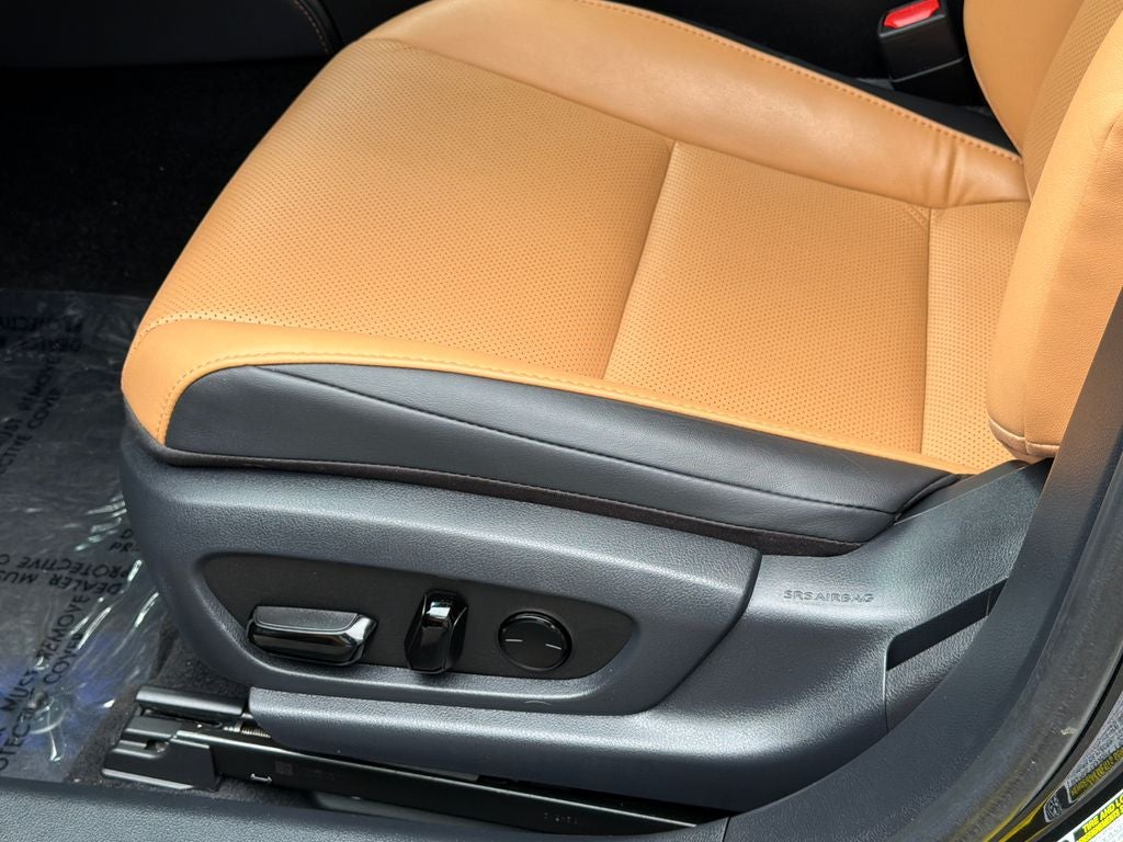 2023 Lexus ES 350